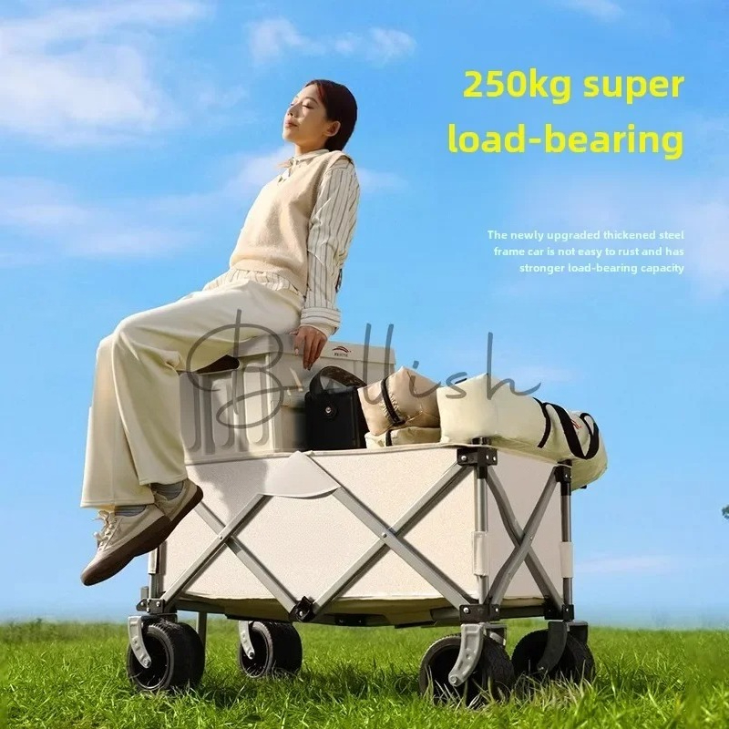 Camping trolley Outdoor foldin - đánh giá và giá Outdoor Camping Trolley