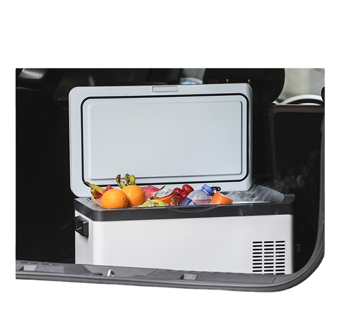 30 Liter 12V 240V Portable Cam - đánh giá và giá Outdoor Camping Box